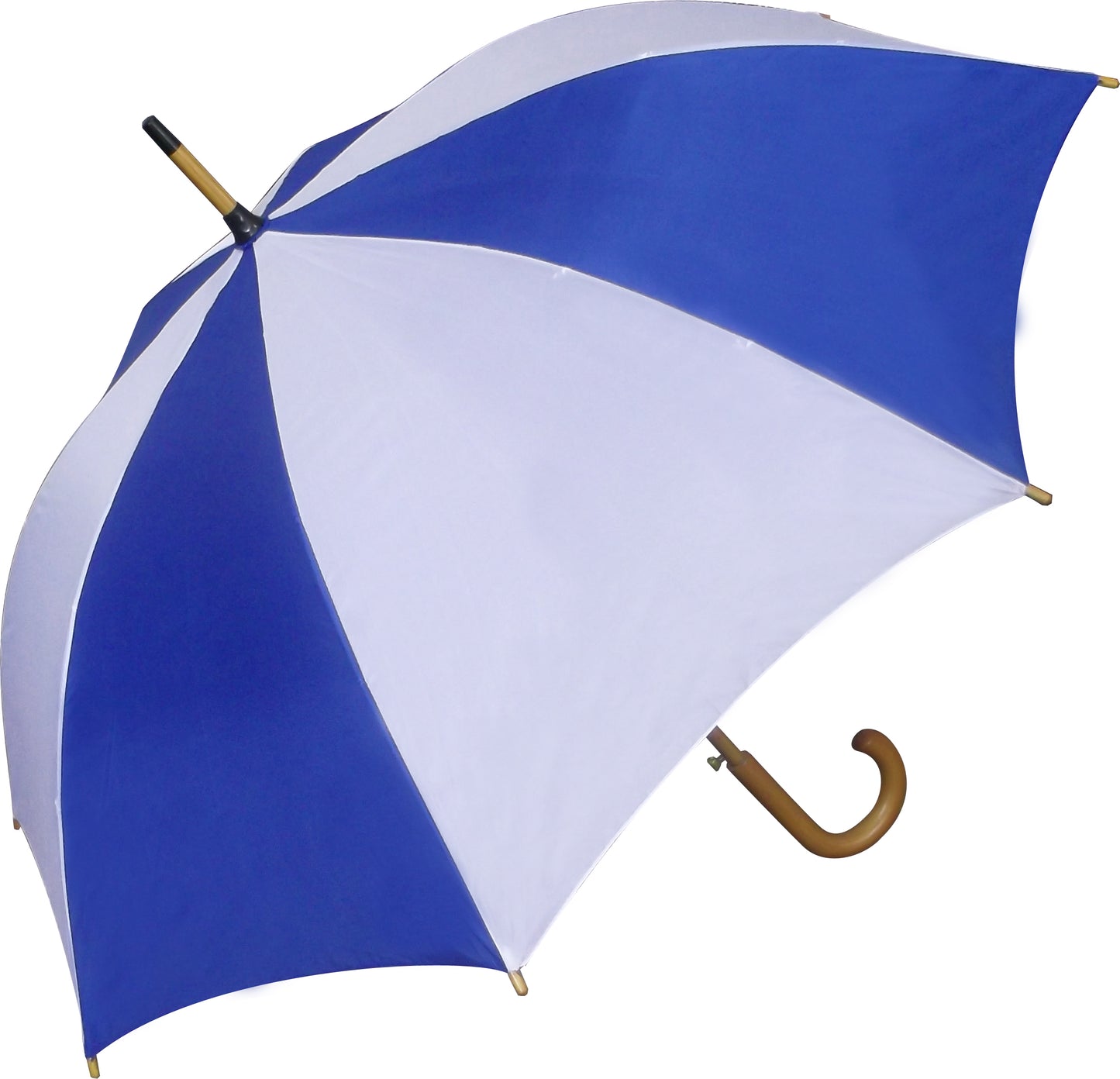 Royal Blue and White