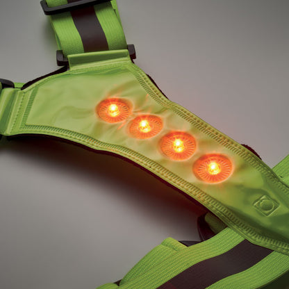 Neon Green