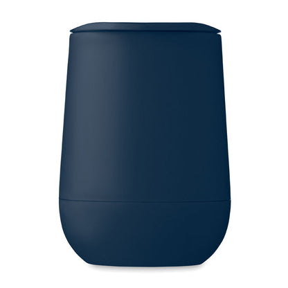 French Navy