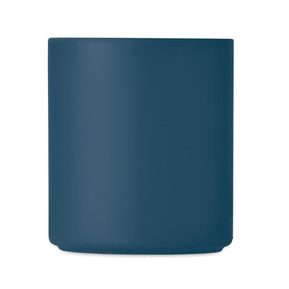 French Navy