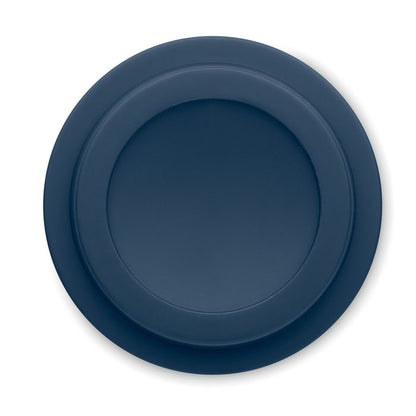 French Navy