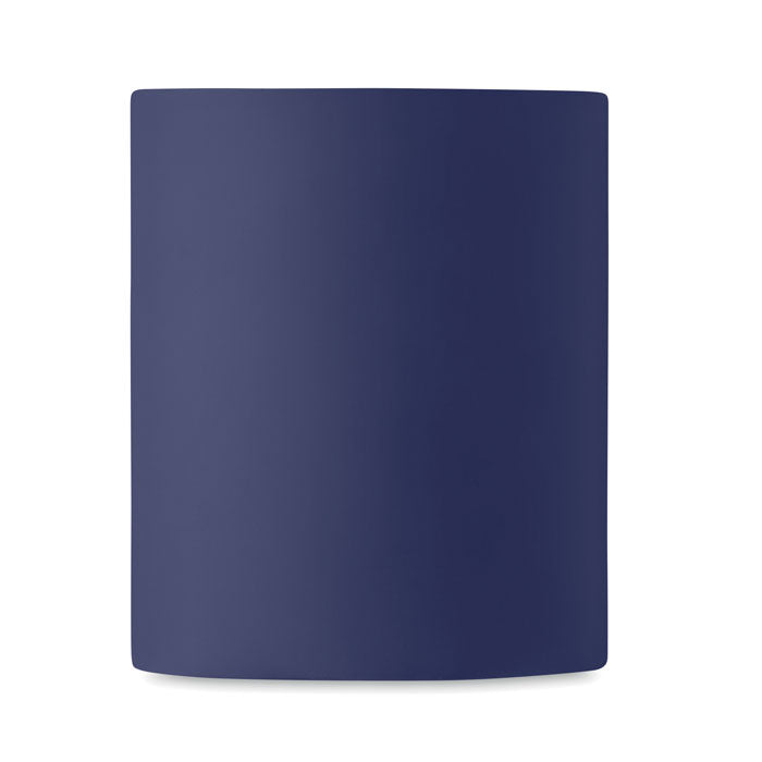 French Navy