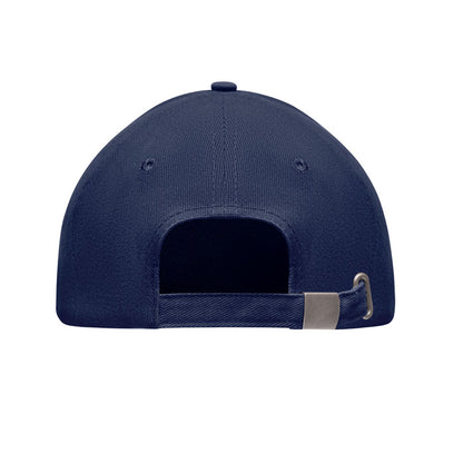 French Navy