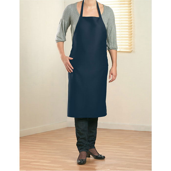 French Navy