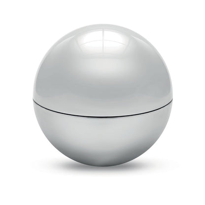 Shiny Silver
